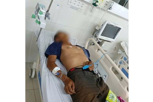 Một bệnh nhân ở Gia Lai nguy kịch sau khi ăn bọ xít