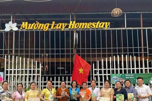 Chị nông dân người Thái 'biến' văn hóa và thiên nhiên thành du lịch cộng đồng