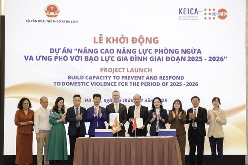 Việt Nam khởi động dự án nâng cao năng lực phòng ngừa và ứng phó với bạo lực gia đình trong kỷ nguyên số