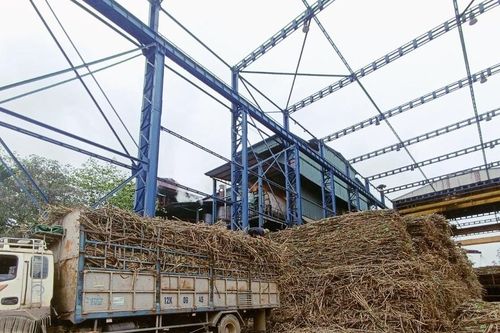 Công ty cổ phần Mía đường Sông Con chuẩn bị bước vào vụ ép mới 2025-2026