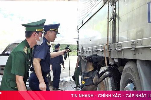 Nâng cấp độ bảo vệ vùng 'phên dậu' dịp cuối năm