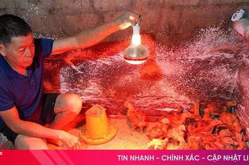 Chính sách giảm nghèo - động lực phát triển bền vững ở Việt Xuyên