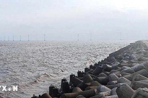 Cà Mau đầu tư gần 100 tỷ đồng xây kè chống sạt lở, bảo vệ đê biển ở xã Gành Hào