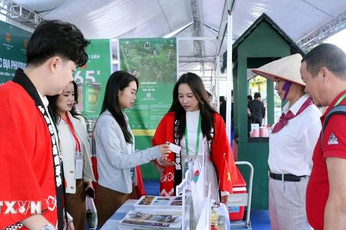 Triển lãm Việt Nam-Nhật Bản: Kết nối văn hóa, thúc đẩy hợp tác địa phương