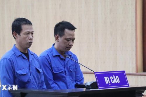 Phạt tù hai thuyền trưởng tổ chức xuất cảnh trái phép