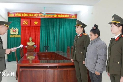 Điện Biên: Bắt giữ các đối tượng làm giả tài liệu cơ quan, nhà nước và lừa đảo