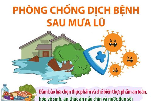 Phòng chống dịch bệnh sau mưa lũ