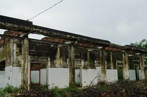 Hà Tĩnh: Cận cảnh phòng khám bỏ hoang nằm giữa khu 'đất vàng' trở thành nơi chăn nuôi gia súc