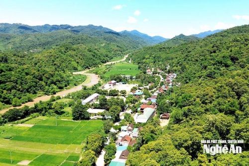 Hơn 27.000 hộ dân tham gia quản lý rừng tại Nghệ An