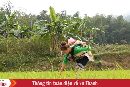 Lời ru nơi xứ Mường