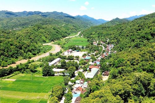 Phát triển lâm nghiệp bền vững, hiệu quả từ chính sách giao rừng