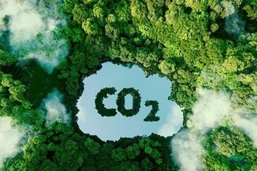 Vận hành thị trường carbon: Bài học từ khu vực APEC và cơ hội cho Việt Nam