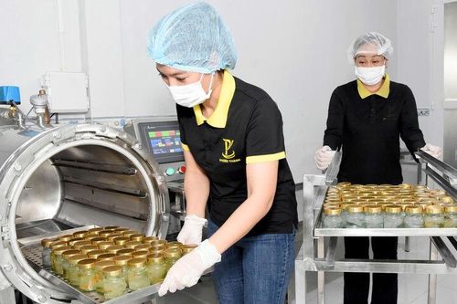 An Giang 'chắp cánh' phát triển nghề yến