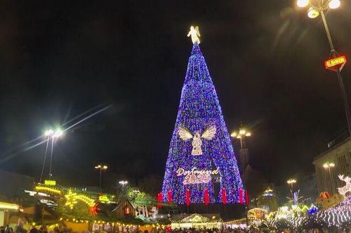 Ra mắt cây thông Noel cao nhất thế giới