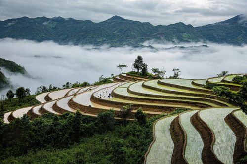Bản tin Dự báo thời tiết ngày 26/11/2025