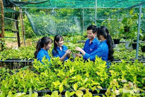 Đánh thức nông nghiệp Đa Kia