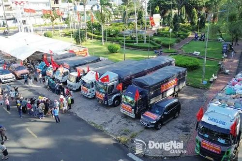 Khắp nơi trong tỉnh tối 25-11-2025