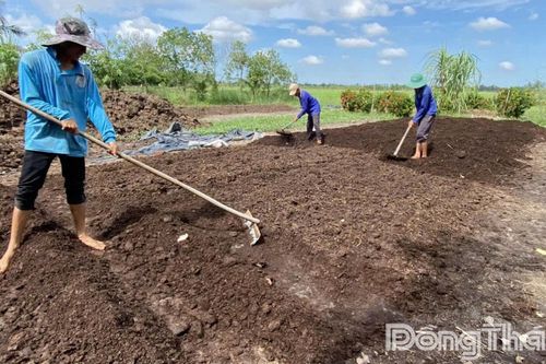 Xây dựng mô hình ứng dụng cơ giới hóa thu gom rơm rạ làm nguyên liệu sản xuất nấm, phân bón