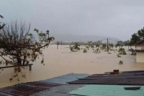 Nhiều trường cao đẳng, đại học giảm học phí cho sinh viên vùng lũ