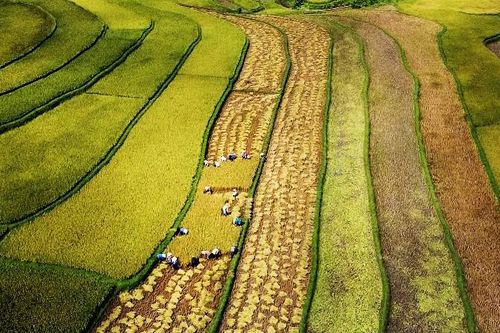 Hiện thực hóa giấc mơ nông thôn mới từ ý Đảng, lòng dân