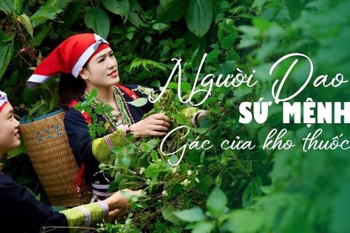Sứ mệnh 'gác cửa' kho thuốc quý