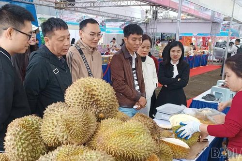 Cơ hội lớn cho nông sản Việt xuất khẩu