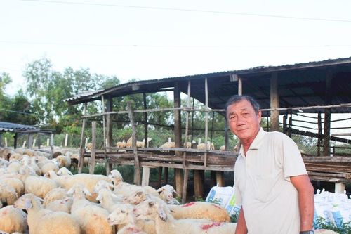 Lâm Đồng hướng tới phát triển chăn nuôi hiện đại, an toàn và bền vững