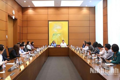 Kỳ họp thứ 10, Quốc hội khóa XV: Đại biểu Quốc hội tỉnh đề xuất các giải pháp nâng cao dân số và phát triển
