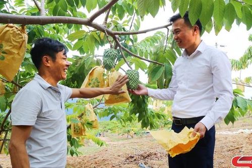 Lóng Phiêng đa dạng các loại cây trồng