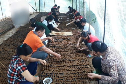 Đào tạo nguồn nhân lực kỹ thuật cho khu vực nông thôn