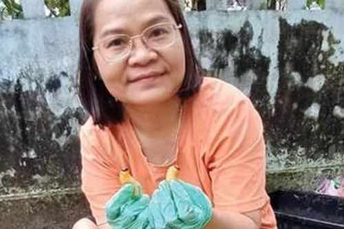 Những mô hình sinh kế 'độc, lạ' ở Bình Điền
