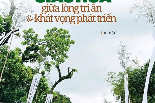 Giao hòa giữa lòng tri ân và khát vọng phát triển