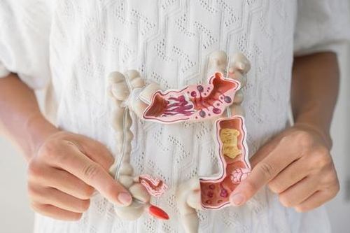 Lợi khuẩn (probiotics) - Chìa khóa hỗ trợ con ăn ngon, hấp thu tốt