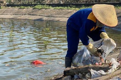 Hồ Linh Đàm ngập ngụa rác, công nhân căng mình dọn dẹp