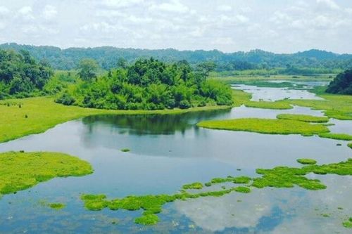 Nền tảng quan trọng để Đồng Nai phát triển xanh