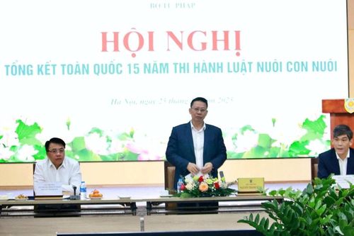 Gần 45.000 trẻ em có hoàn cảnh đặc biệt được nhận làm con nuôi