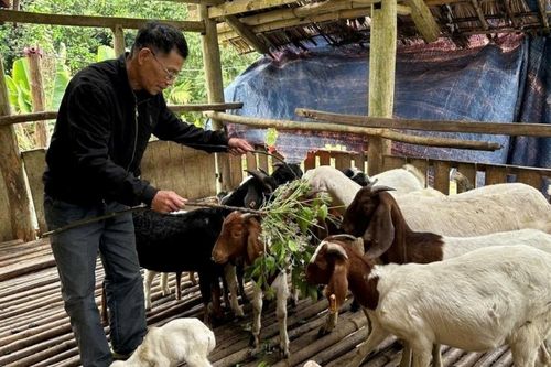Yên Trạch thoát nghèo bằng sinh kế bền vững