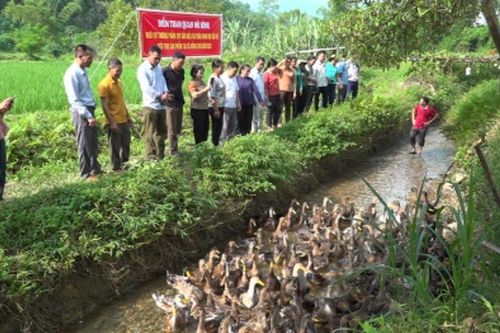 Đa dạng sinh kế gắn với thế mạnh địa phương
