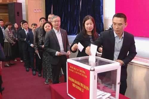 Các trường Đại học, Cao đẳng Hà Nội hướng về vùng lũ
