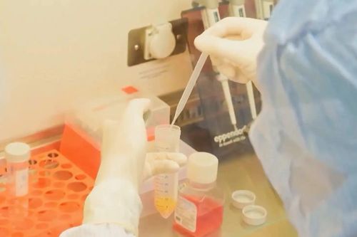 Lưu trữ tế bào gốc: Cơ hội điều trị bệnh hiểm nghèo