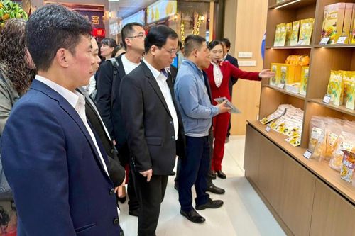 Đoàn đại biểu tỉnh tham dự Tuần lễ kinh tế - thương mại Bách Sắc - Cao Bằng năm 2025