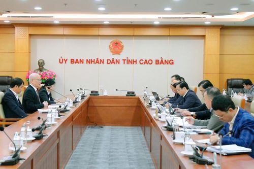 Chủ tịch UBND tỉnh Lê Hải Hòa làm việc với Nhà đầu tư Dự án Chăn nuôi bò sữa và chế biến sữa công nghệ cao