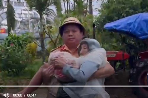 Clip: 'Rơi nước mắt' cảnh CSGT cứu cụ bà 94 tuổi ngâm mình trong nước lũ nhiều ngày