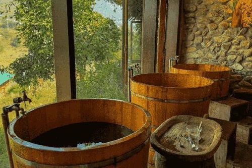 Biến đa dạng sinh học thành liệu pháp chữa lành tự nhiên