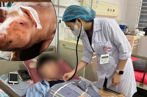 Lợn cắn vào gối, bé trai nhiễm khuẩn huyết, tổn thương xương