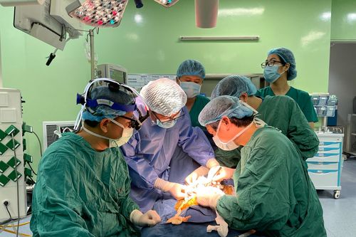 Ứng dụng tế bào gốc hỗ trợ điều trị teo đường mật bẩm sinh ở trẻ em