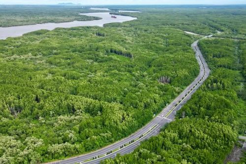 Thị trường các-bon rừng tại Việt Nam: từ khung pháp lý đến giải pháp thực thi