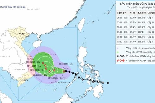 Bão số 15 (Koto) giật cấp 11, di chuyển phức tạp trên Biển Đông, có khả năng mạnh thêm