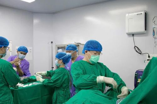 Bệnh viện Thận Hà Nội nỗ lực đổi mới toàn diện, nâng cao chất lượng điều trị