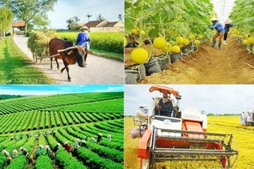 Kiện toàn thành viên BCĐ Trung ương các chương trình mục tiêu quốc gia 2021 - 2025